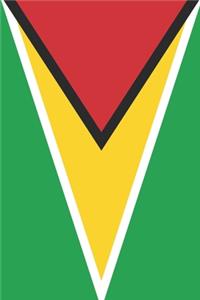 Guyana Travel Journal - Guyana Flag Notebook - Guyanese Flag Book