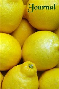 Journal