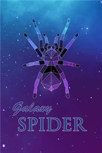 Galaxy Spider