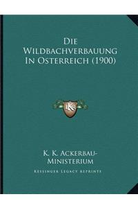 Die Wildbachverbauung In Osterreich (1900)