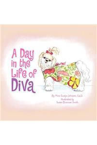 A Day in the Life of Diva