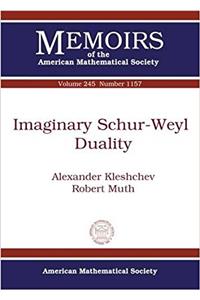 Imaginary Schur-Weyl Duality