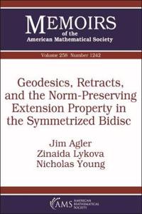 Geodesics, Retracts, and the Norm-Preserving Extension Property in the Symmetrized Bidisc