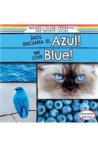 ¡Nos Encanta El Azul! / We Love Blue!