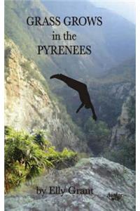 Grass Grows in the Pyrenees