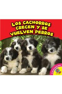 Los Cachorros Crecen y Se Vuelven Perros