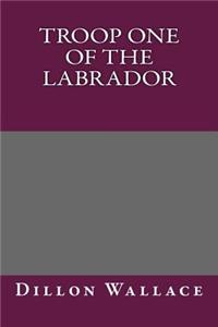 Troop One of the Labrador