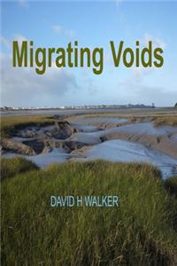 Migrating Voids