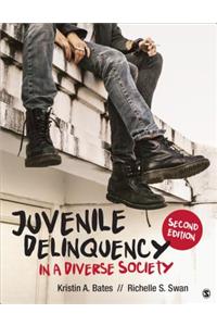 Juvenile Delinquency in a Diverse Society