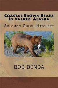 Coastal Brown Bears In Valdez, Alaska