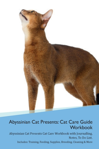 Abyssinian Cat Presents