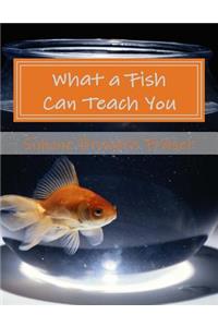 What a Fish Can Teach You