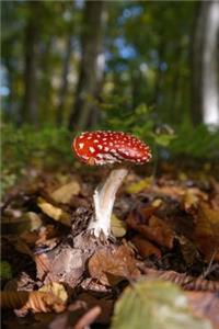 Mushroom in the Forest Journal