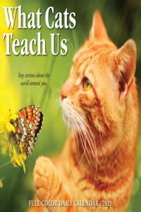 What Cats Teach Us 2021 Box Calendar
