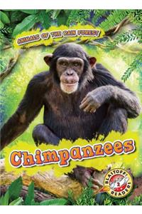 Chimpanzees