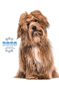 2020 Havanese Planner - Weekly - Daily - Monthly