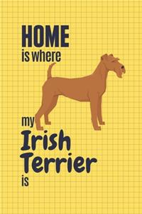Home is where my Irish Terrier is