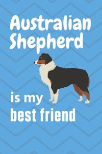 Australian Shepherd is my best friend