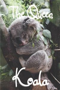 The Queen Koala