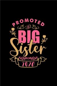 Be big sister in 2020