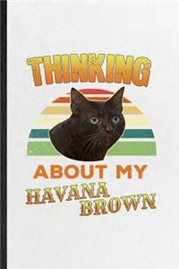 Thinking About My Havana Brown