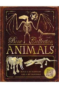 Bone Collection: Animals