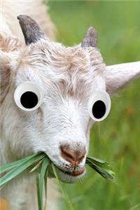 Googly Eye Goat Journal