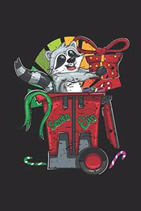 Racoon Christmas