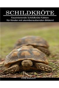 Schildkröte