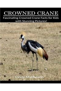 Crowned Crane