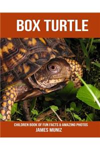 Box Turtle: Children Book of Fun Facts & Amazing Photos