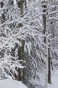 2019 Daily Planner Winter Beautiful Forest 384 Pages