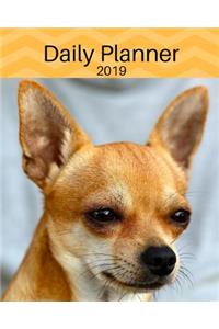 Planner 2019: Chihuahua