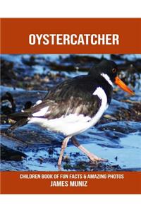 Oystercatcher: Children Book of Fun Facts & Amazing Photos