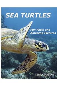 Sea Turtles