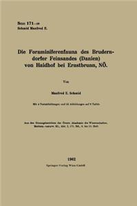 Die Foraminiferenfauna des Bruderndorfer Feinsandes (Danien) von Haidhof bei Ernstbrunn, NÖ