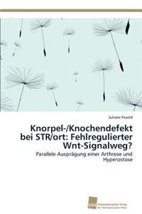 Knorpel-/Knochendefekt bei STR/ort