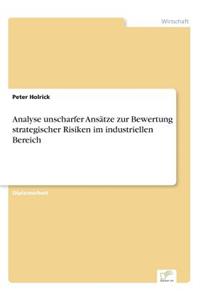 Analyse unscharfer Ansätze zur Bewertung strategischer Risiken im industriellen Bereich