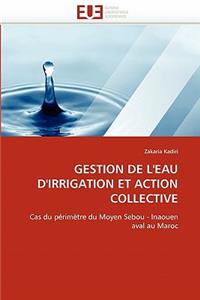 Gestion de l''eau d''irrigation Et Action Collective