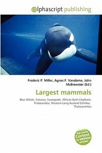 Largest Mammals