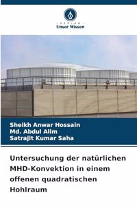 Untersuchung der natürlichen MHD-Konvektion in einem offenen quadratischen Hohlraum