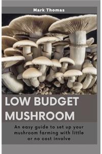 Low Budget Mushroom
