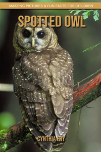 Spotted Owl