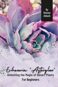 Echeveria 'Afterglow'