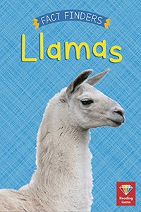 Llamas