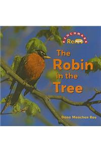 Robin in the Tree