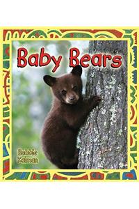 Baby Bears