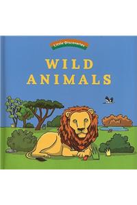 Wild Animals