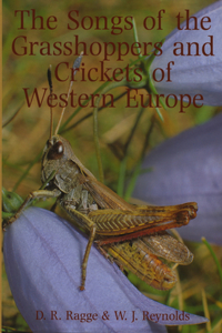 Songs of the Grasshoppers and Crickets of Western Europe
