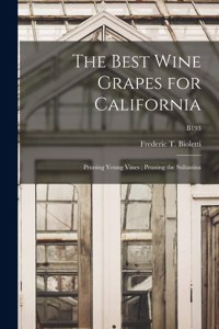 Best Wine Grapes for California